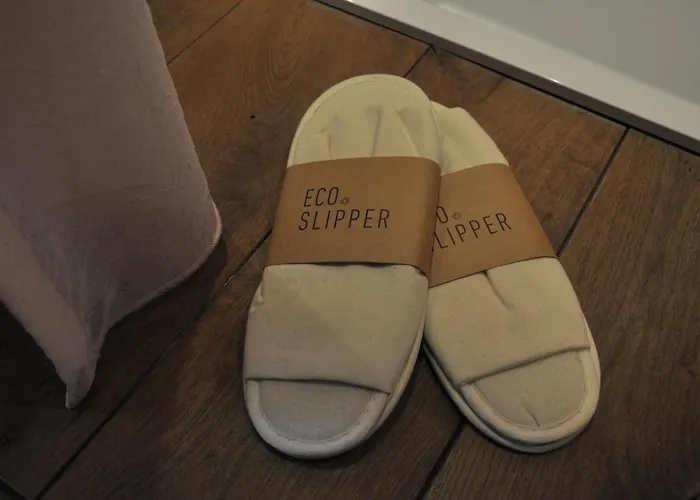 Schopenhauer